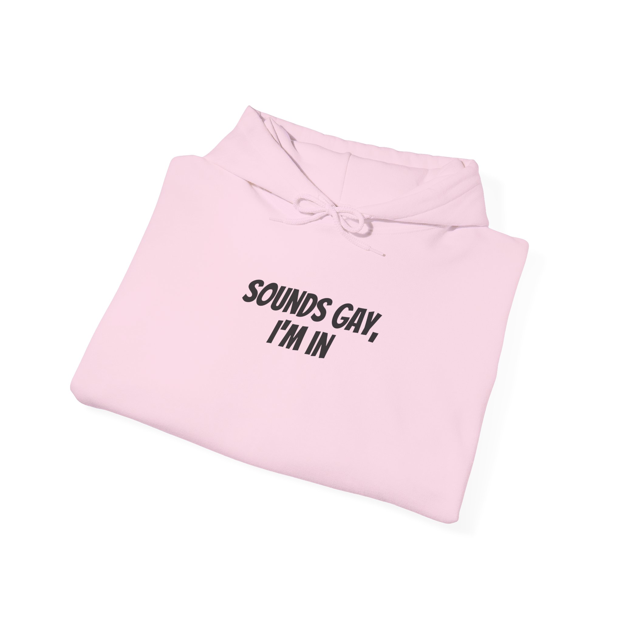 Sounds Gay, I'm In Hoodie | Funny Sarcastic Hoodie | Gift for Gen Z - Black Text - Hoodie - Image 16