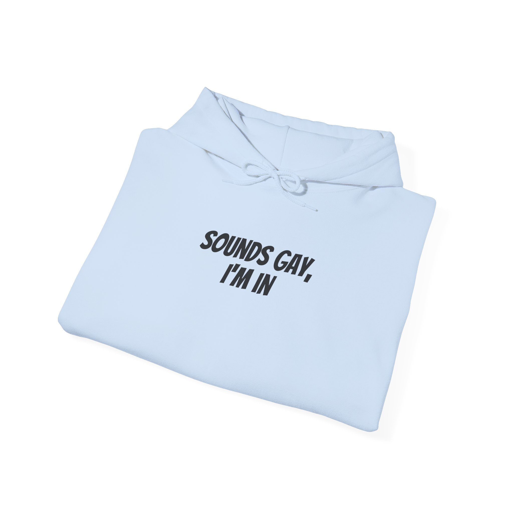 Sounds Gay, I'm In Hoodie | Funny Sarcastic Hoodie | Gift for Gen Z - Black Text - Hoodie - Image 12