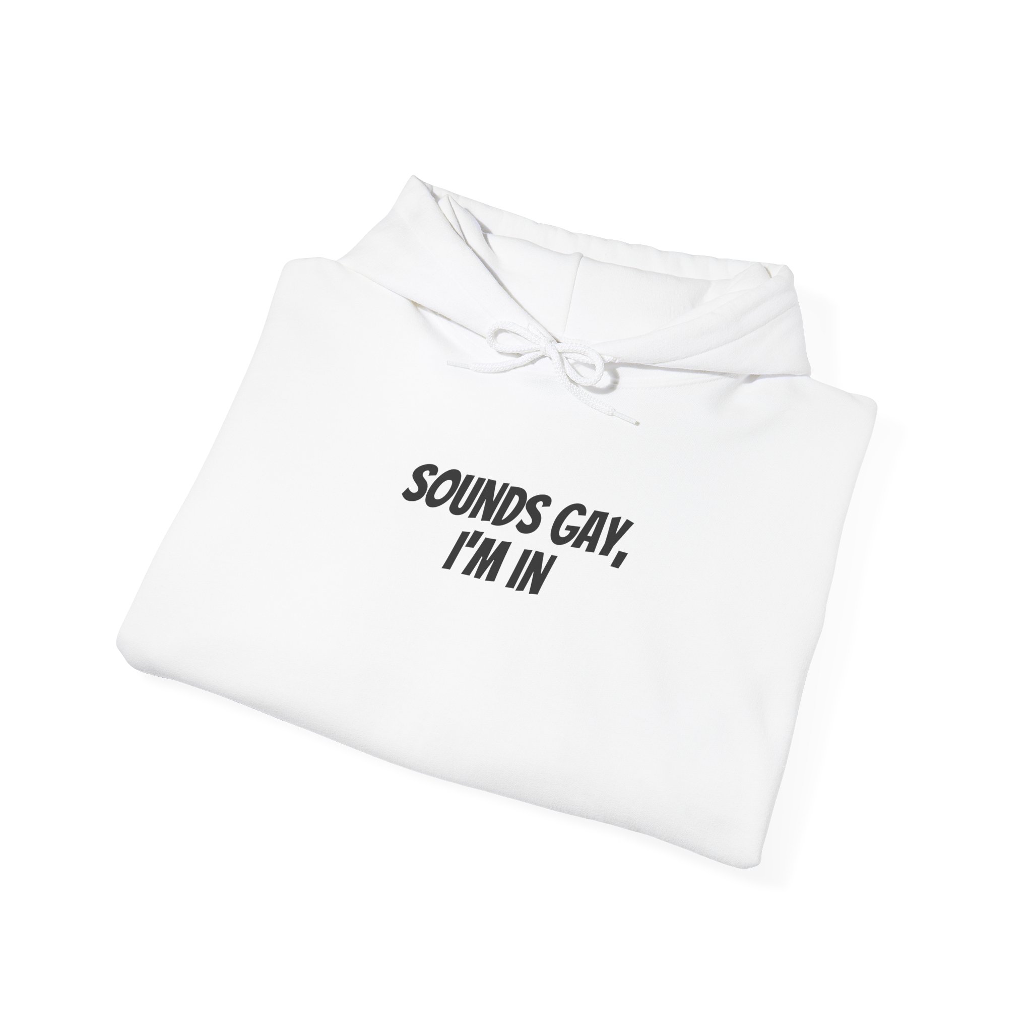 Sounds Gay, I'm In Hoodie | Funny Sarcastic Hoodie | Gift for Gen Z - Black Text - Hoodie - Image 4