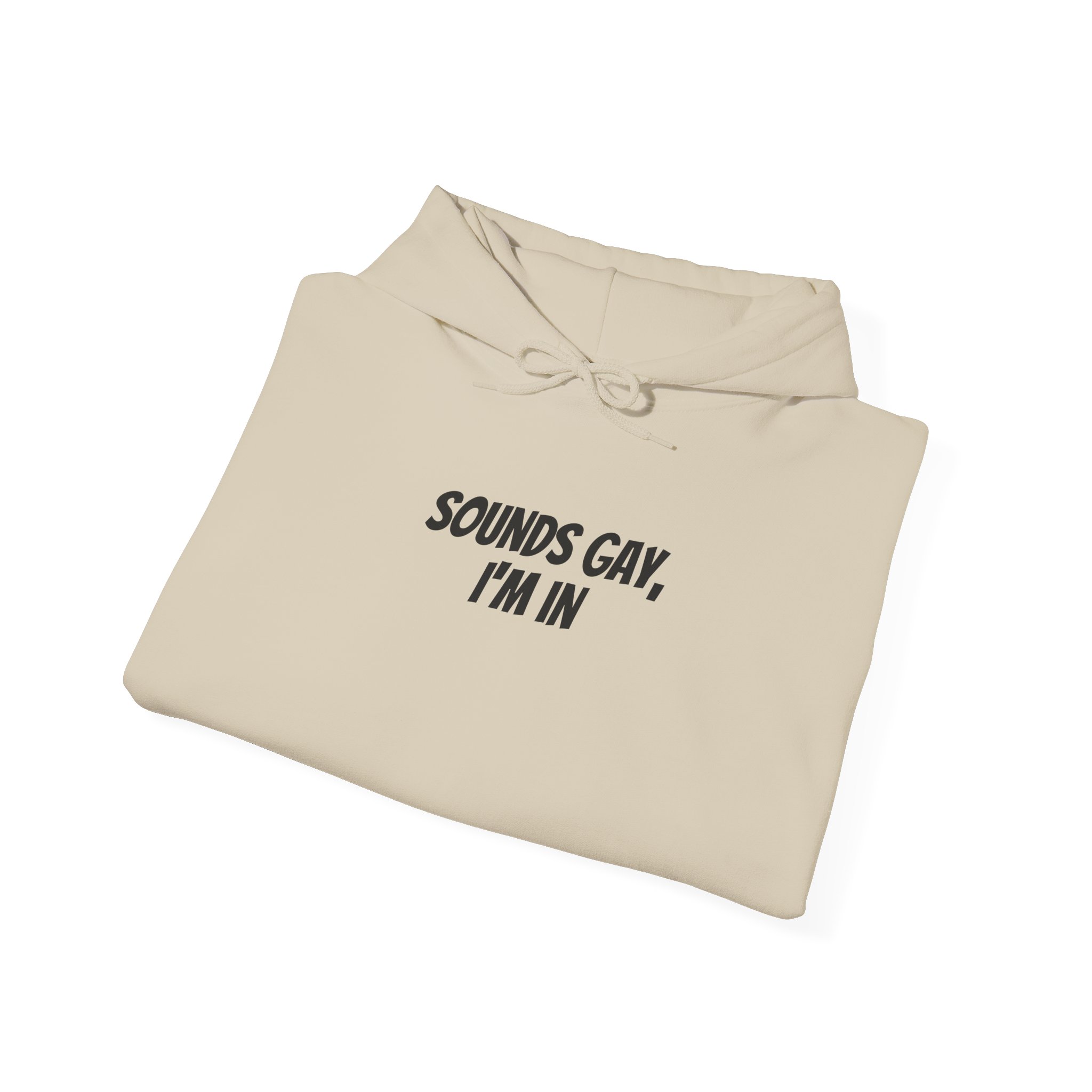 Sounds Gay, I'm In Hoodie | Funny Sarcastic Hoodie | Gift for Gen Z - Black Text - Hoodie - Image 8