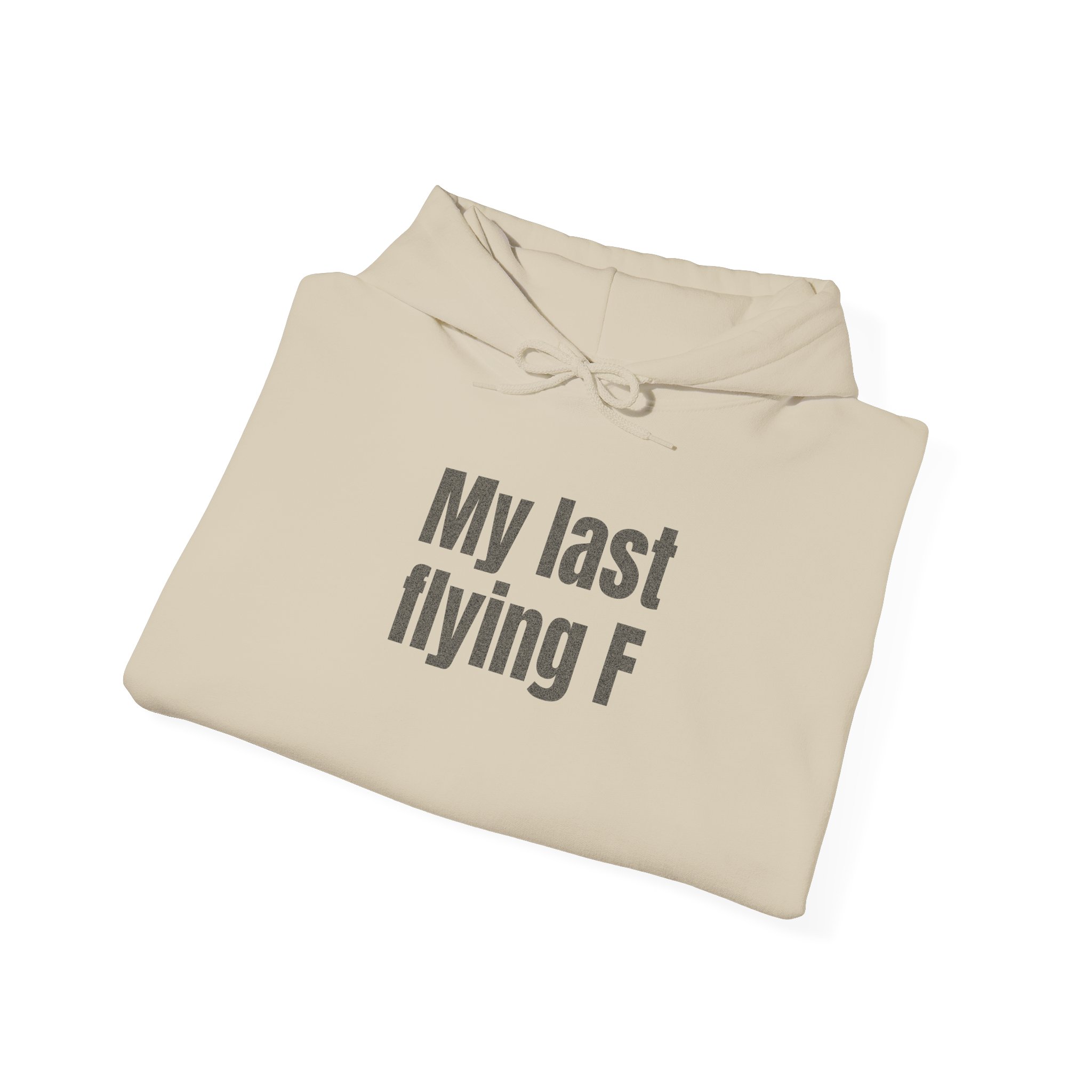 My Last Flying F Hoodie | Sarcastic Hoodie | Gift for Sarcastic Adults - Black Text - Hoodie - Image 8