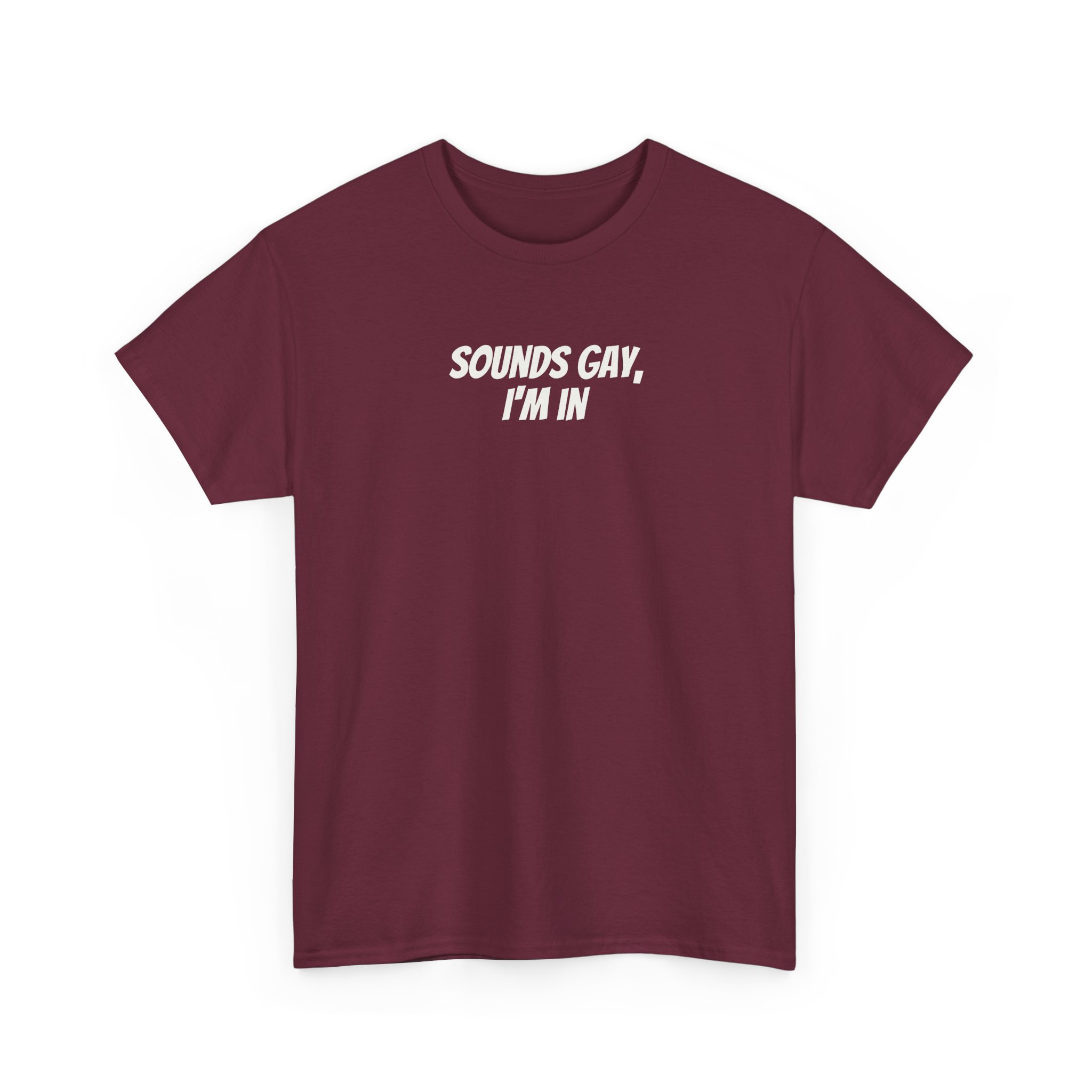 Sounds Gay, I'm In Shirt | Funny Sarcastic Tee | Gift for Gen Z - White Text - T-Shirt - Image 7